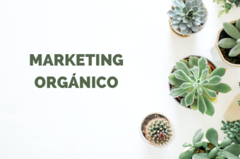 5 acciones de posicionamiento SEO para empresas turísticas.