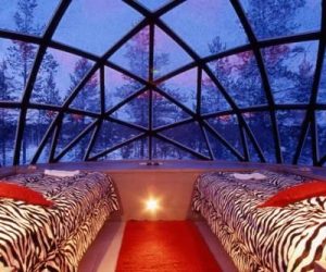 Hoteles Instagrameables en las redes sociales Hoteles Instagrameables en las redes sociales